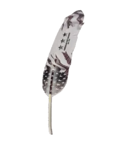 Valor | Hat Feather
